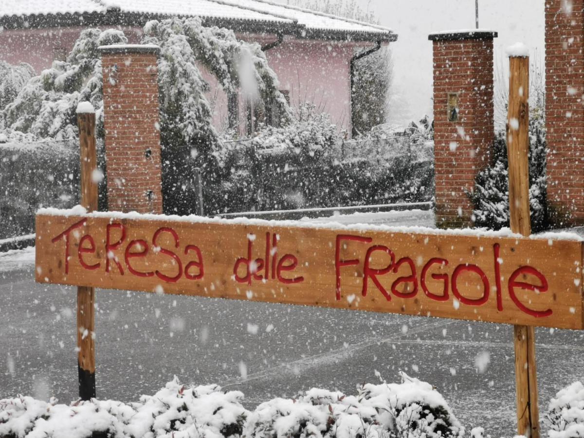 Agriturismo Teresa Delle Fragole Vigano Εξωτερικό φωτογραφία
